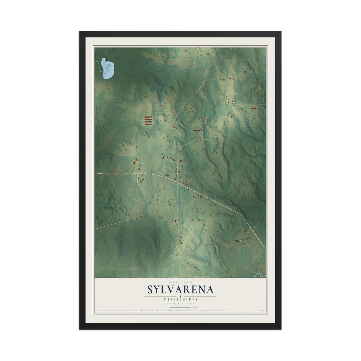 Map of Sylvarena, Mississippi, 12 x 18 inch print in a black wood frame
