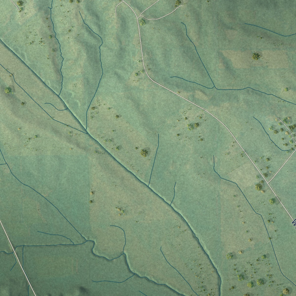 Second close-up of the map of Thaxton, Mississippi print showing more streets and buildings