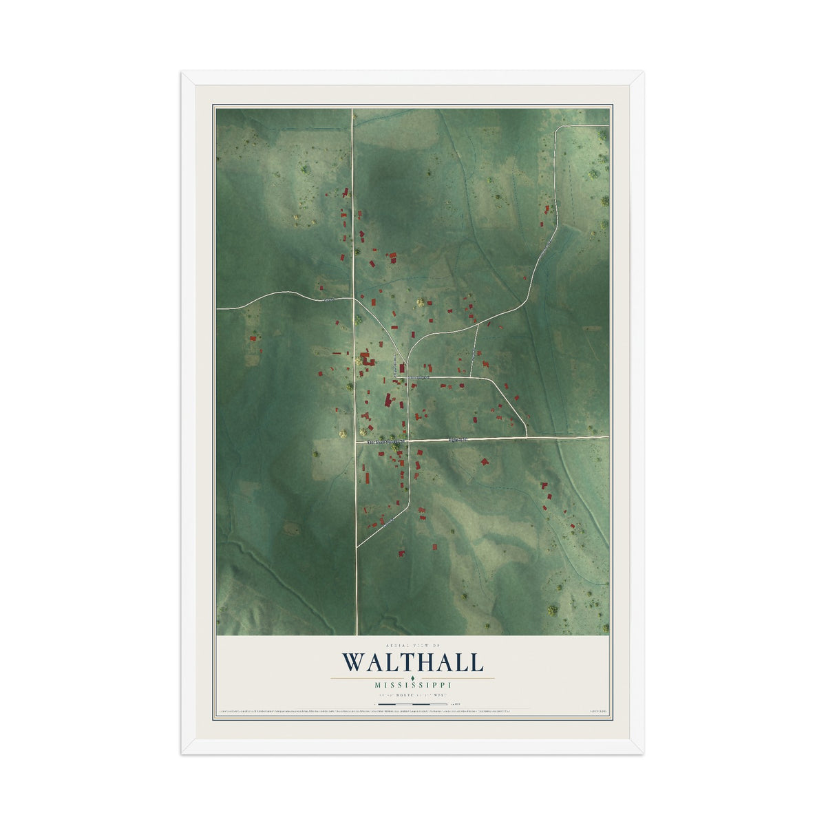 Map of Walthall, Mississippi, 12 x 18 inch print in a white wood frame