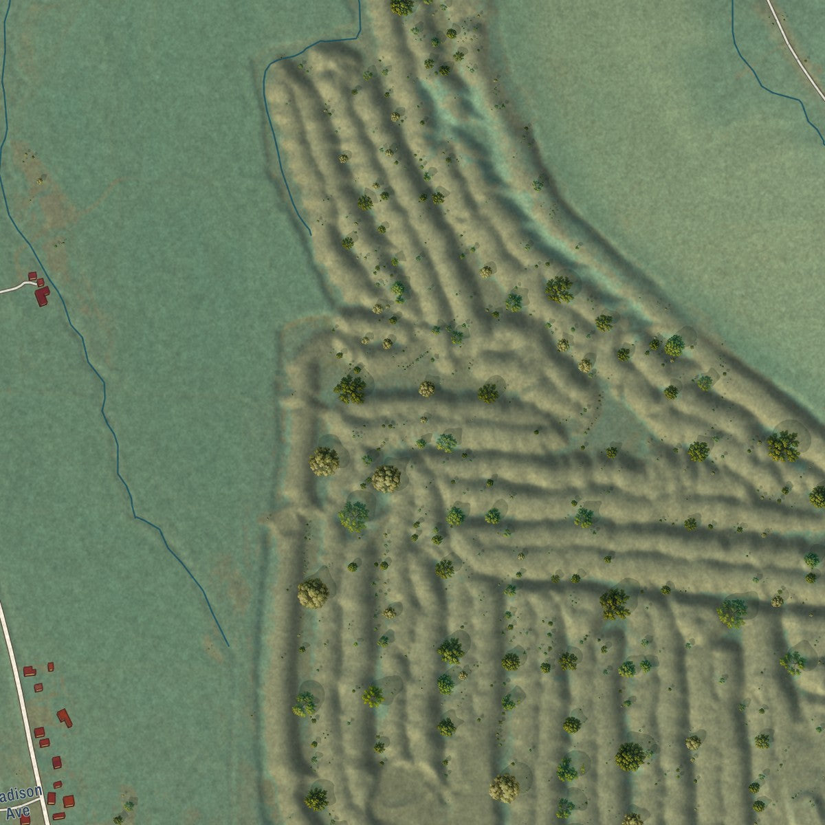 Close-up of the map of Alder, Montana print showing street and building detail
