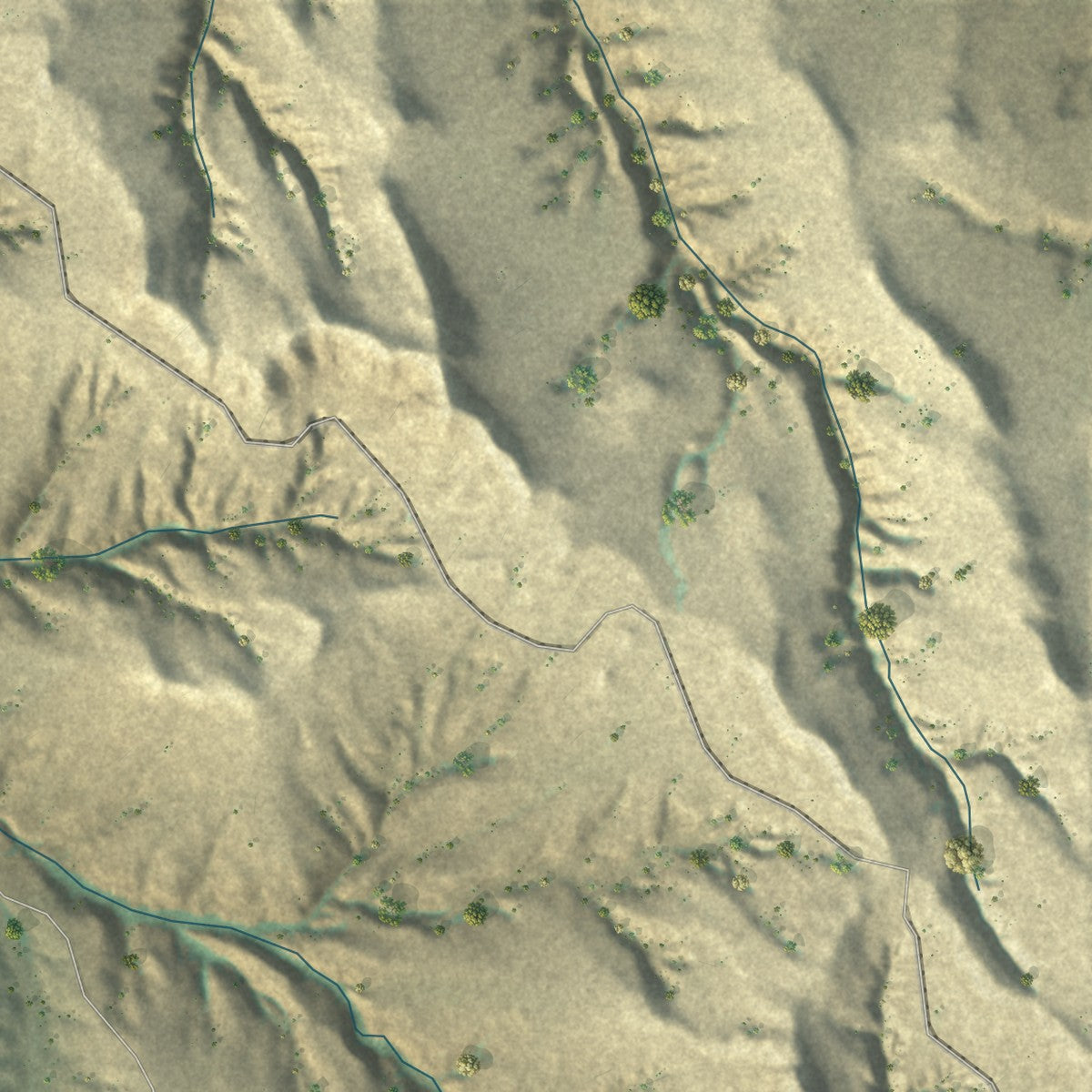 Close-up of the map of Biddle, Montana print showing street and building detail