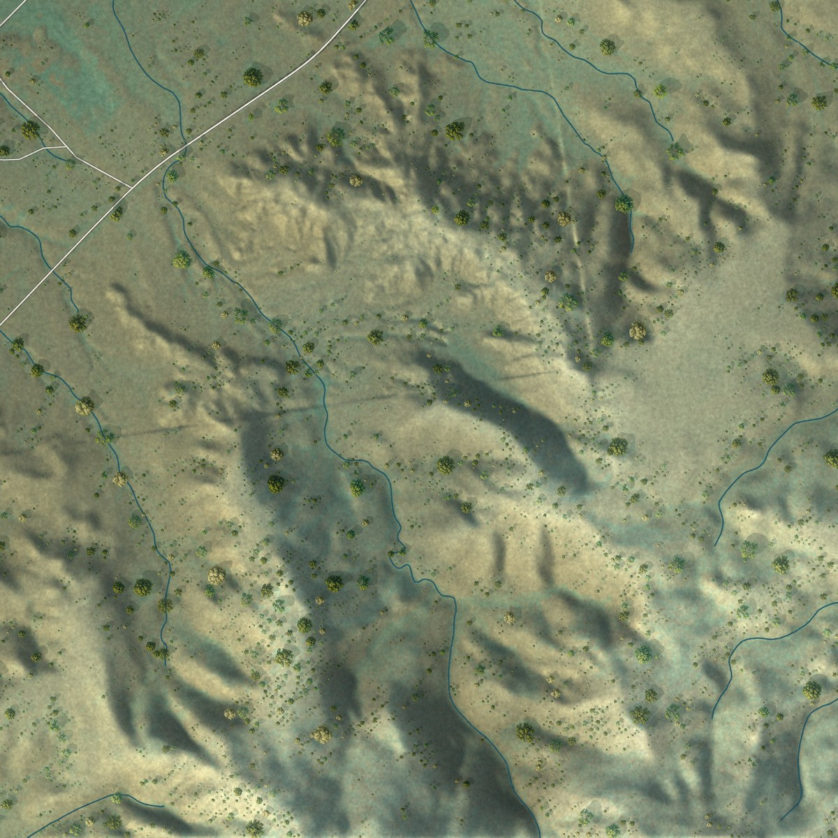 Close-up of the map of Birney, Montana print showing street and building detail