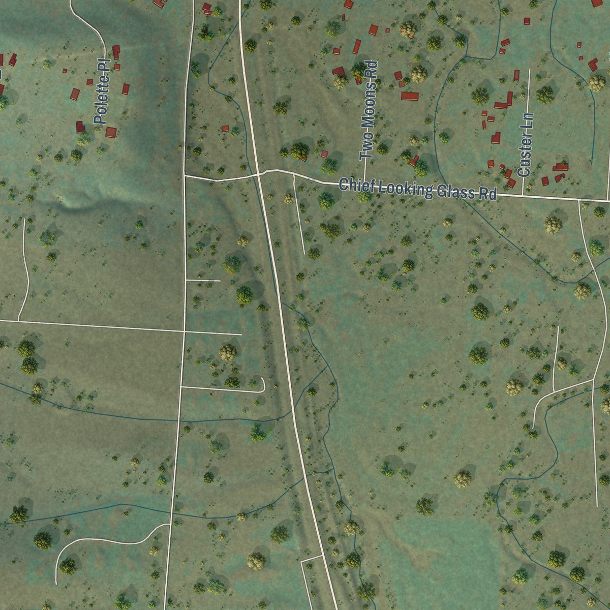 Close-up of the map of Carlton, Montana print showing street and building detail