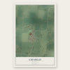 Charlo, Montana map print, the full design