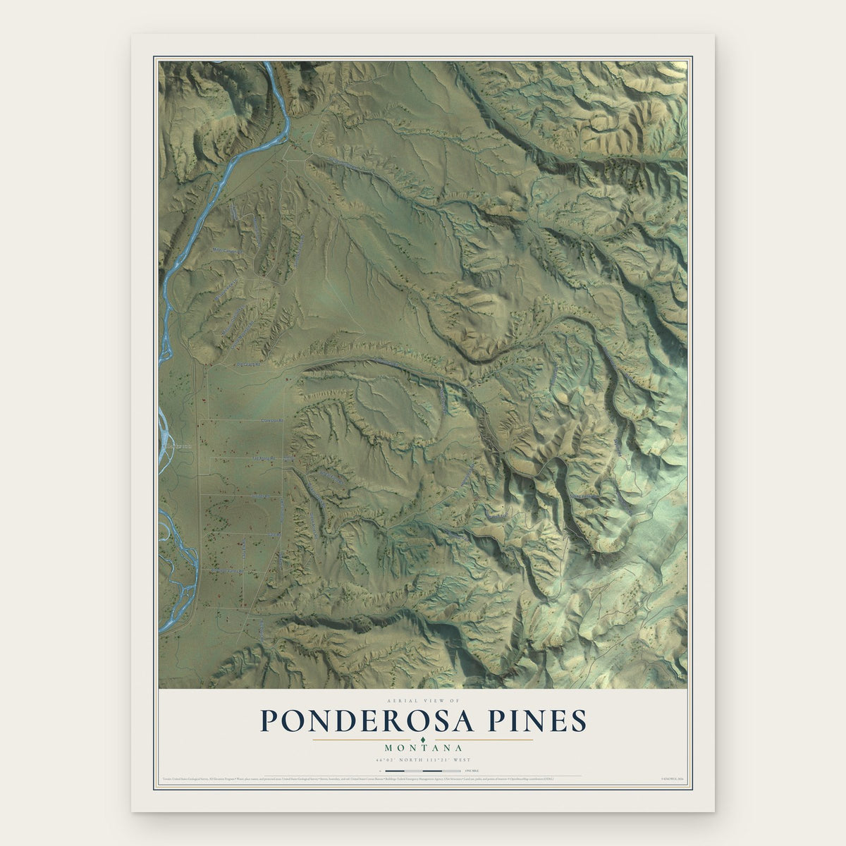 Ponderosa Pines, Montana map print, the full design