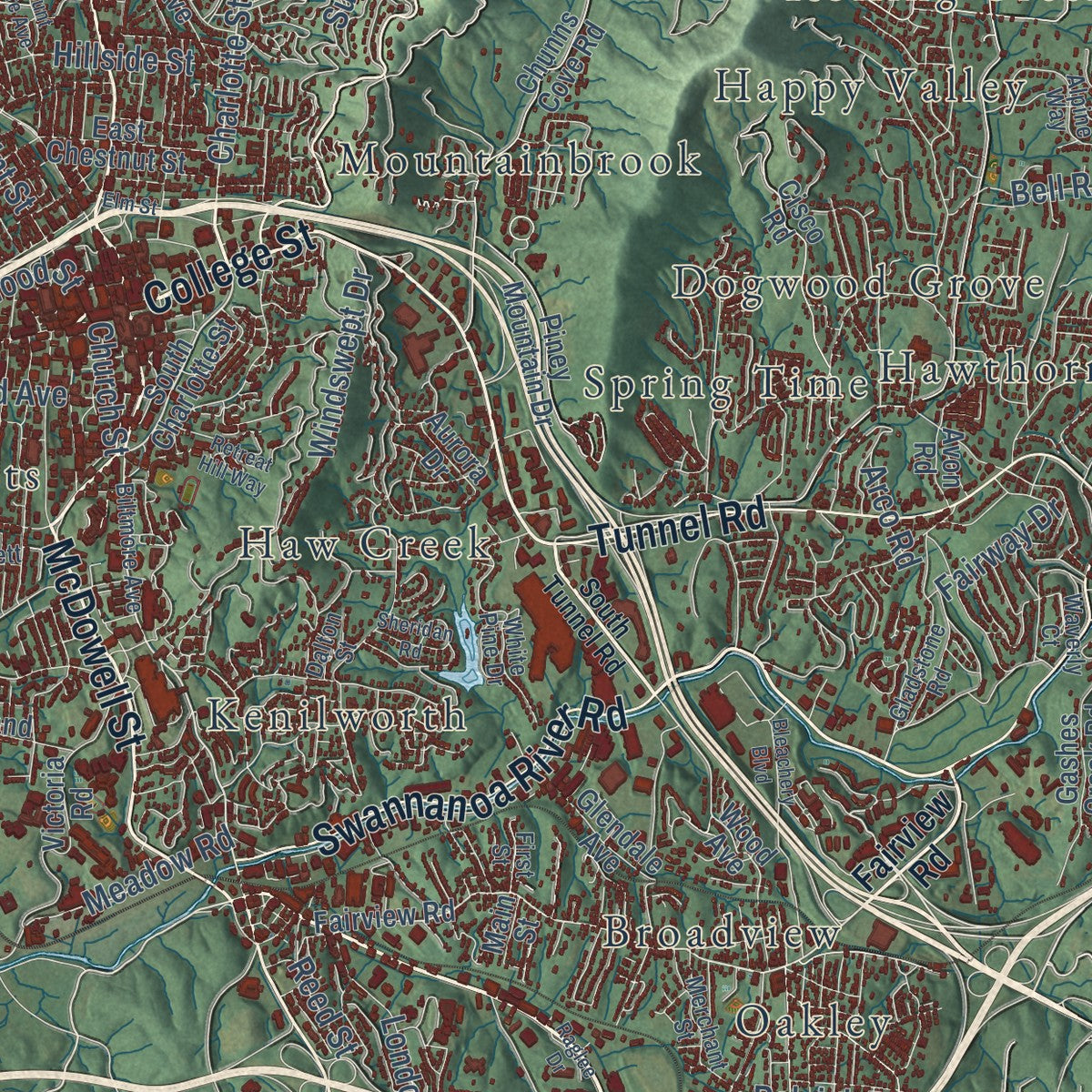 Close-up of the map of Asheville, North Carolina print showing street and building detail