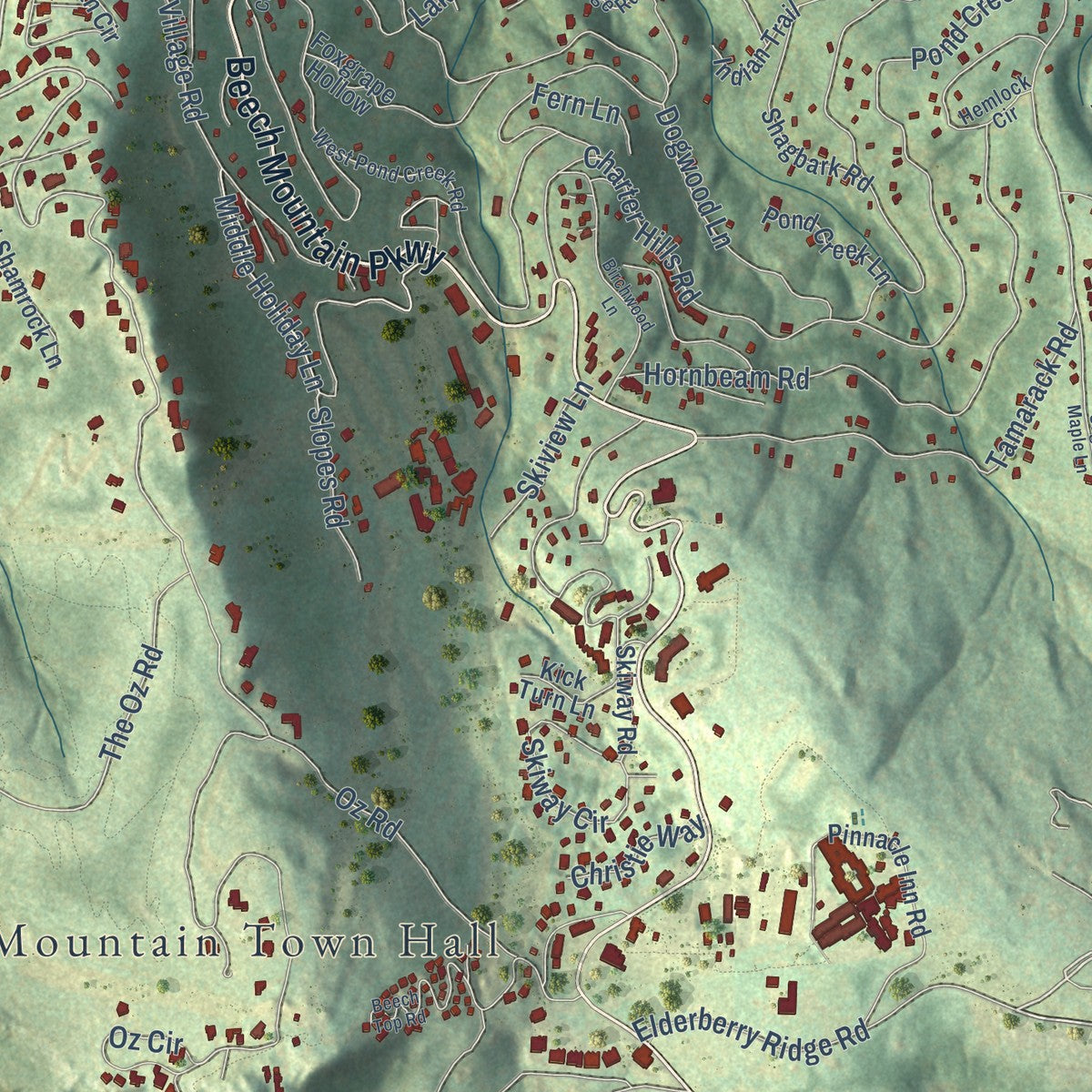 Close-up of the map of Beech Mountain, North Carolina print showing street and building detail