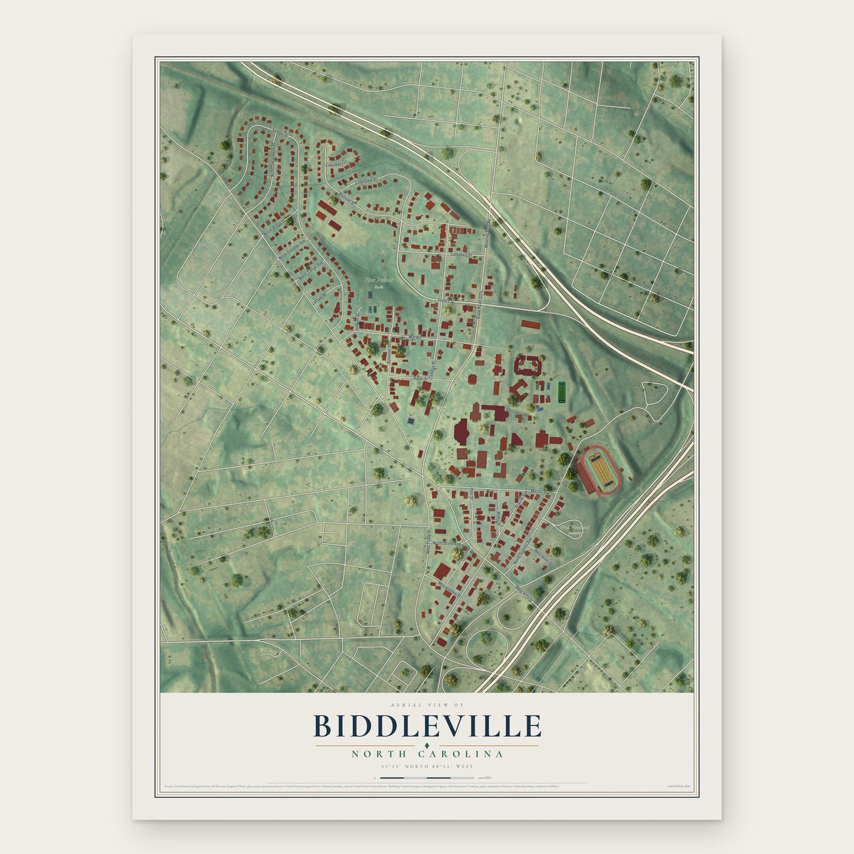 Biddleville, North Carolina map print, the full design