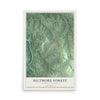 Map of Biltmore Forest, North Carolina, 12 x 18 inch unframed archival matte print
