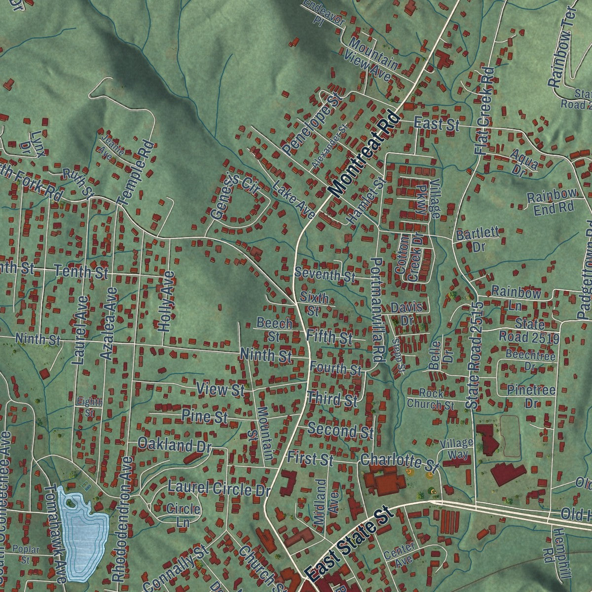 Close-up of the map of Black Mountain, North Carolina print showing street and building detail