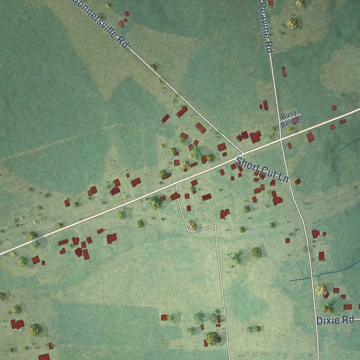Close-up of the map of Bonnetsville, North Carolina print showing street and building detail