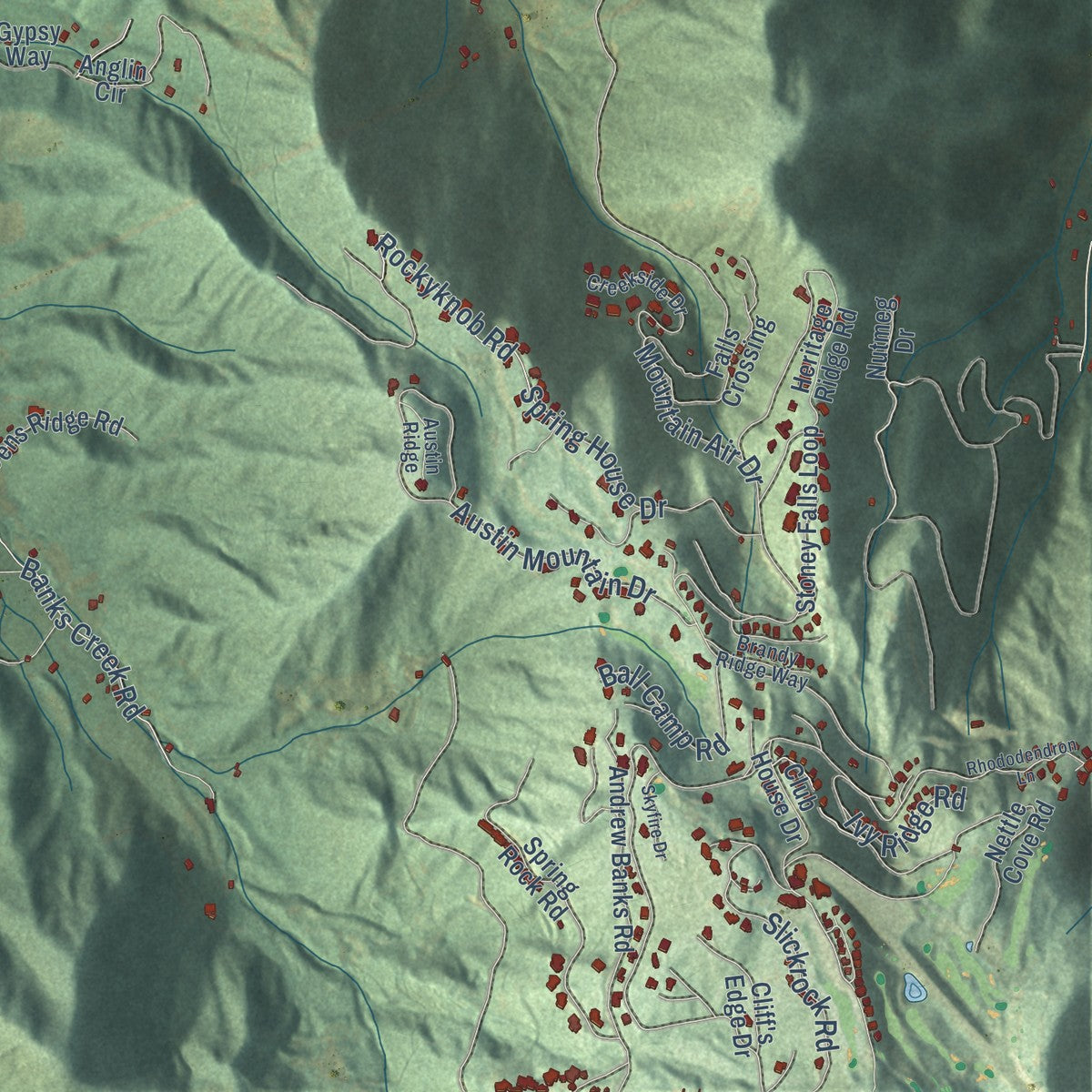 Close-up of the map of Cane River, North Carolina print showing street and building detail