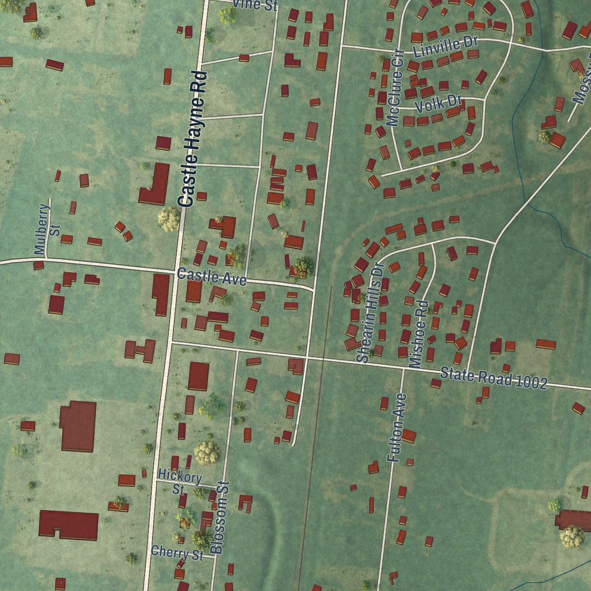 Close-up of the map of Castle Hayne, North Carolina print showing street and building detail