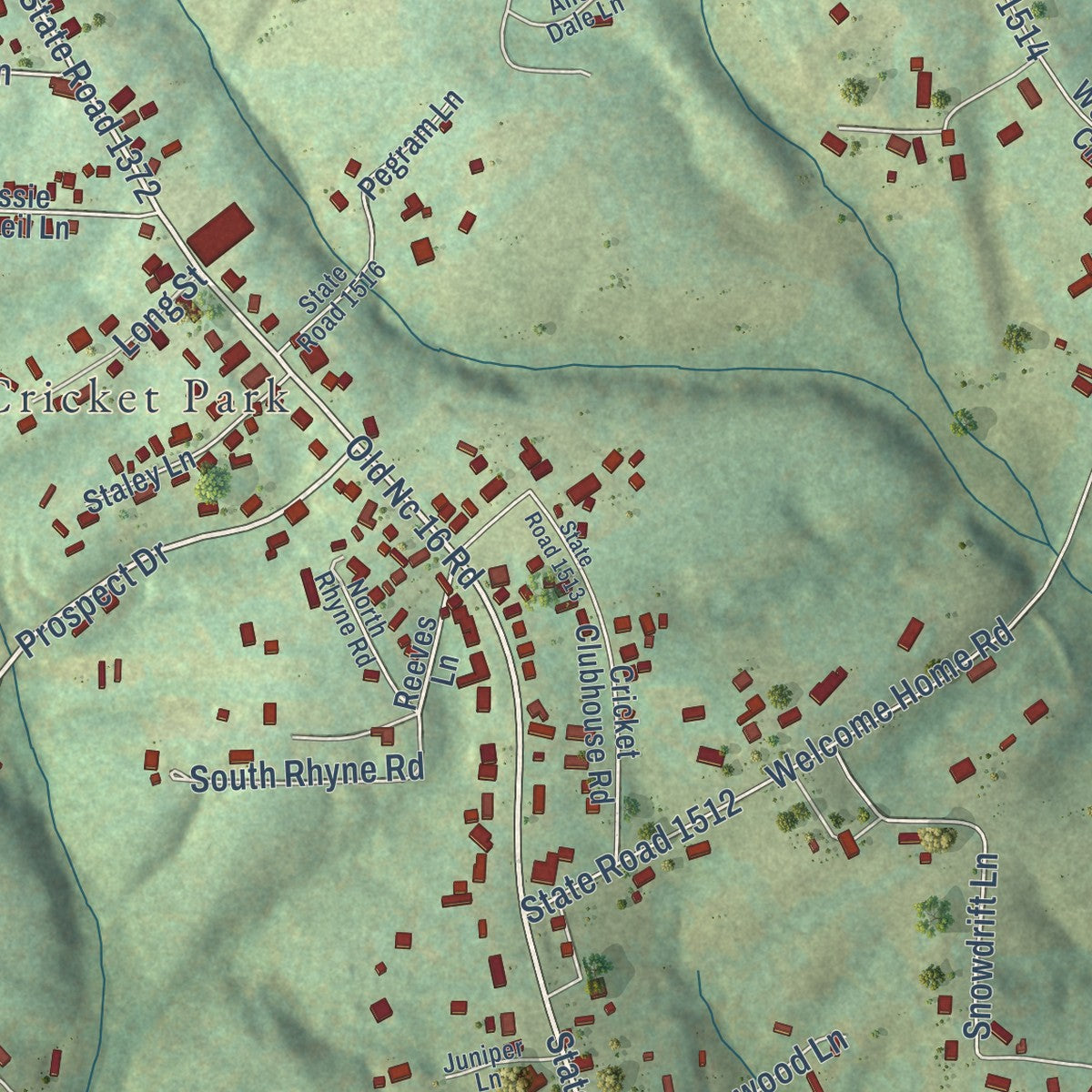 Close-up of the map of Cricket, North Carolina print showing street and building detail