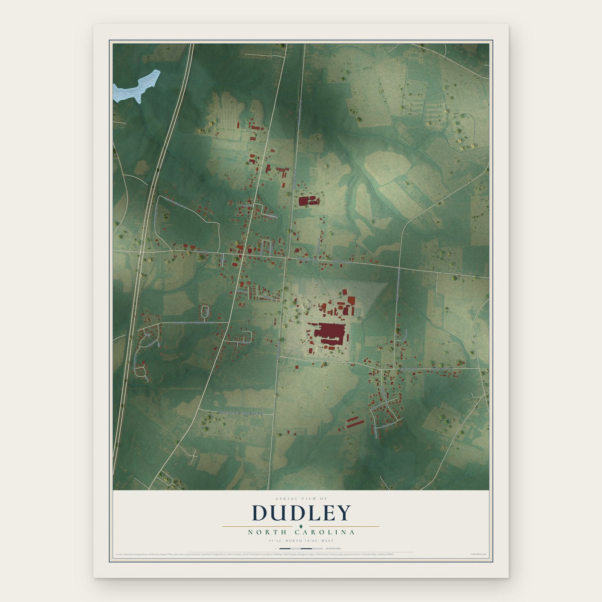 Dudley, North Carolina map print, the full design
