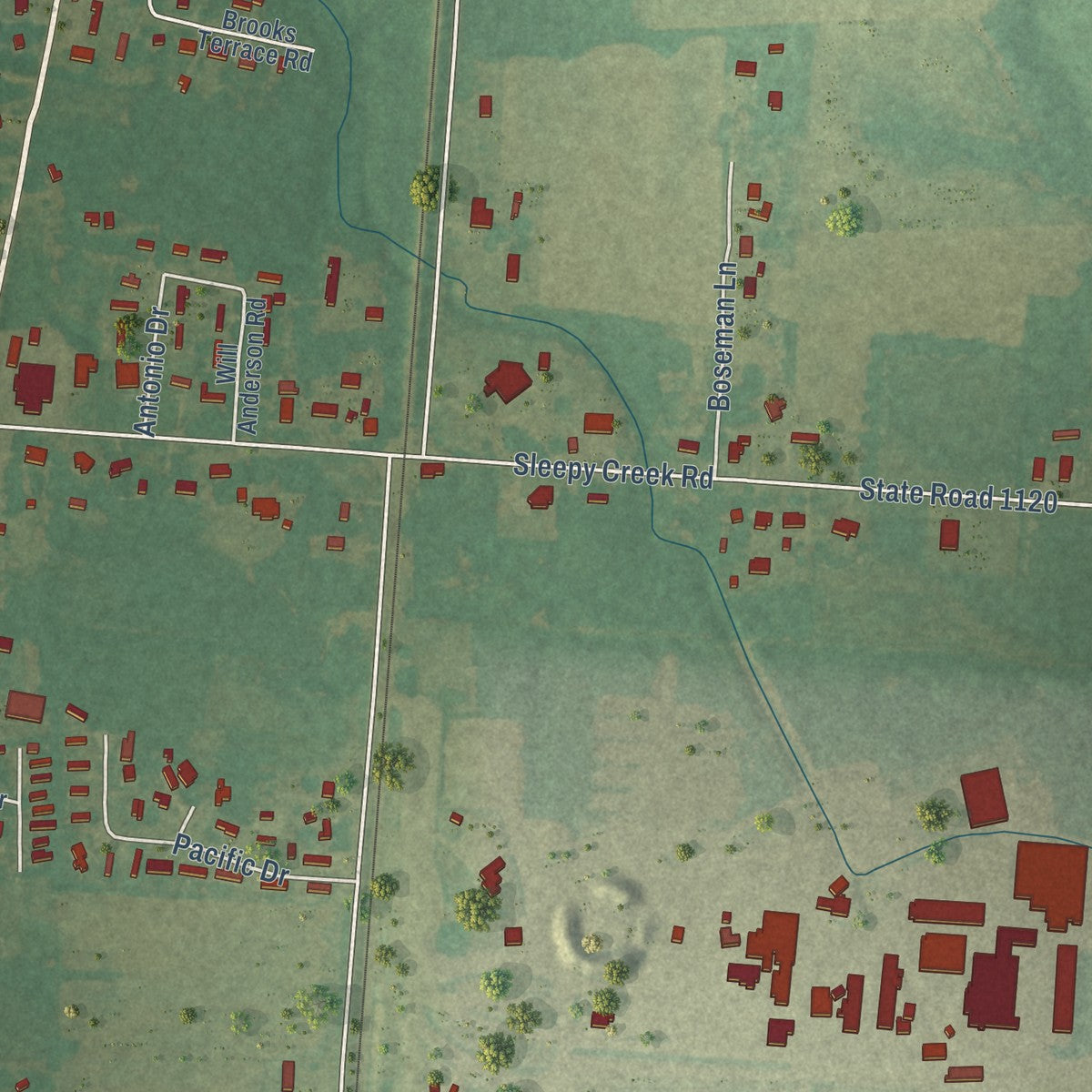 Close-up of the map of Dudley, North Carolina print showing street and building detail
