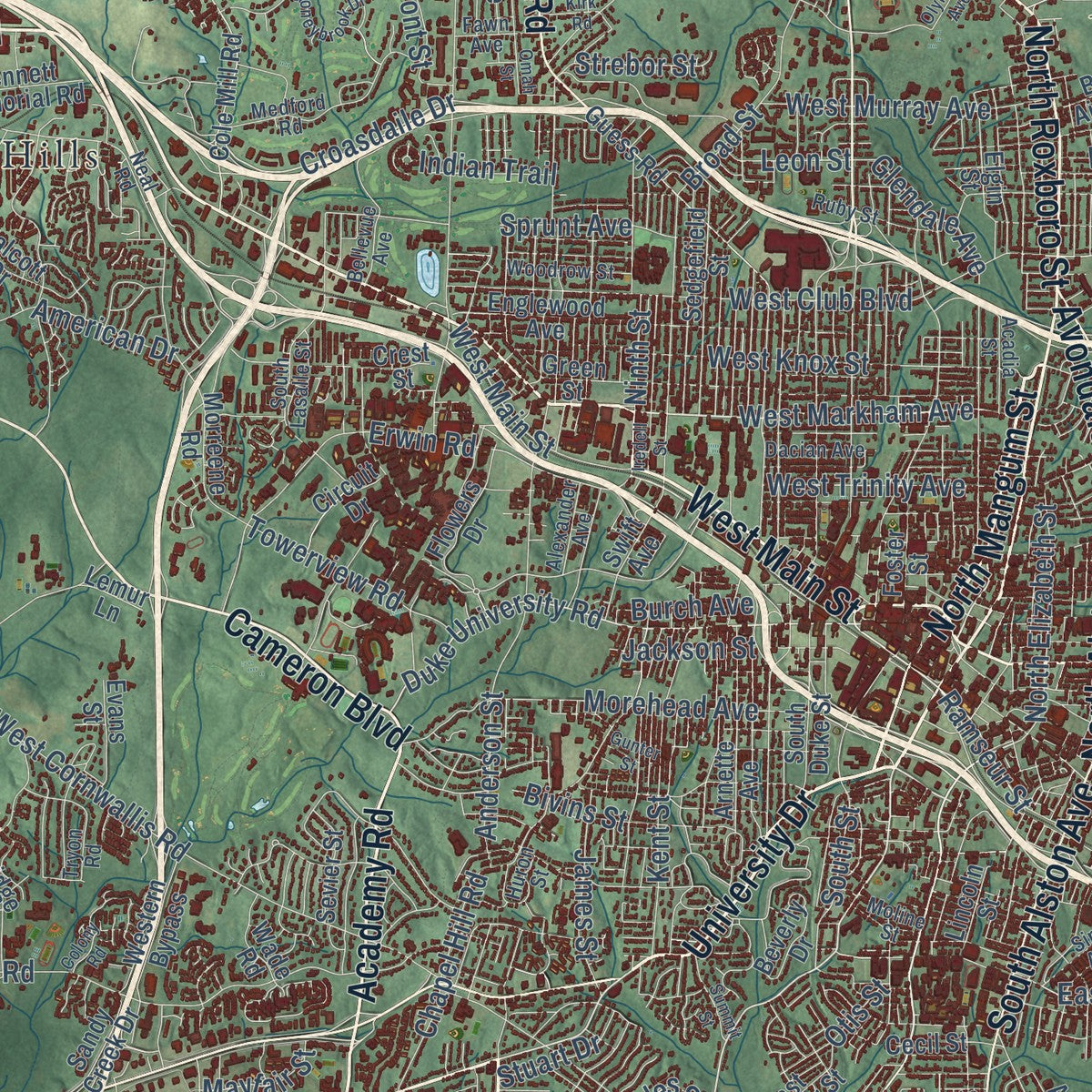 Close-up of the map of Durham, North Carolina print showing street and building detail