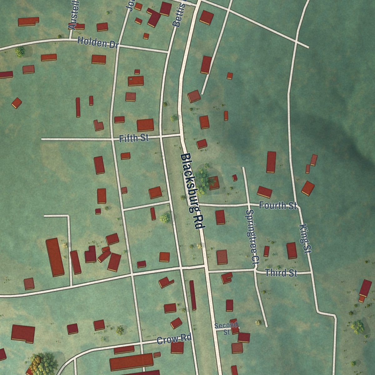 Close-up of the map of Earl, North Carolina print showing street and building detail