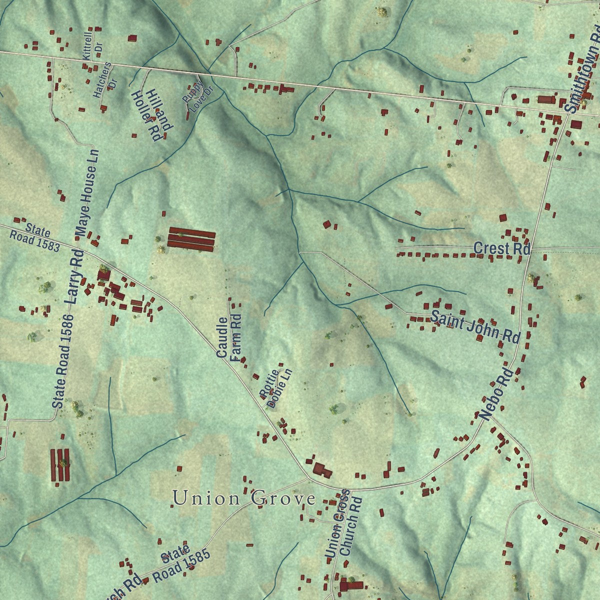 Close-up of the map of Forbush, North Carolina print showing street and building detail