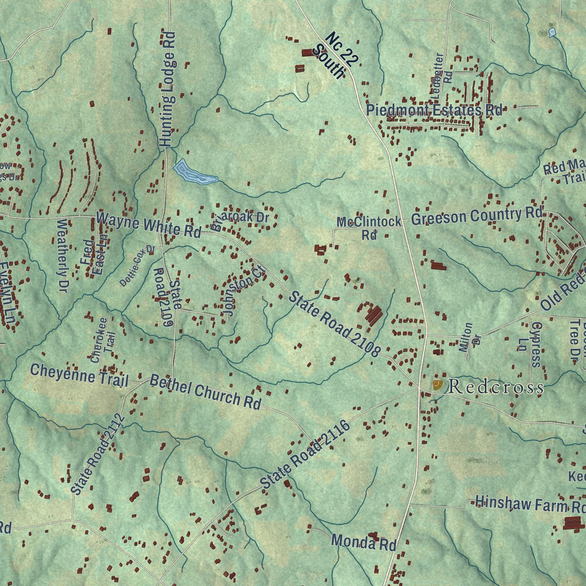 Close-up of the map of Grays Chapel, North Carolina print showing street and building detail