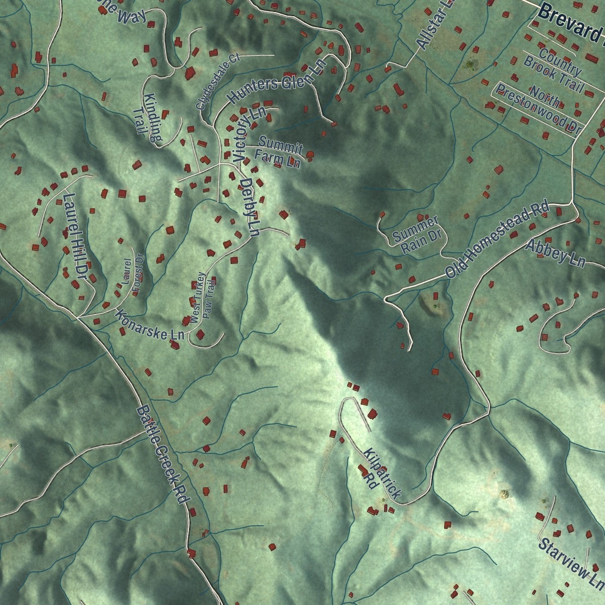 Close-up of the map of Horse Shoe, North Carolina print showing street and building detail