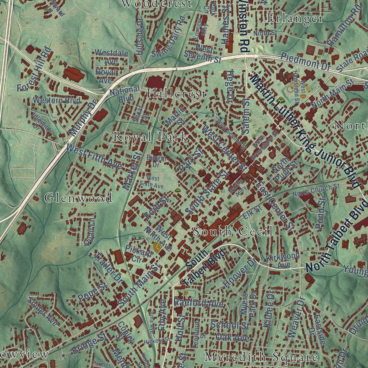 Close-up of the map of Lexington, North Carolina print showing street and building detail