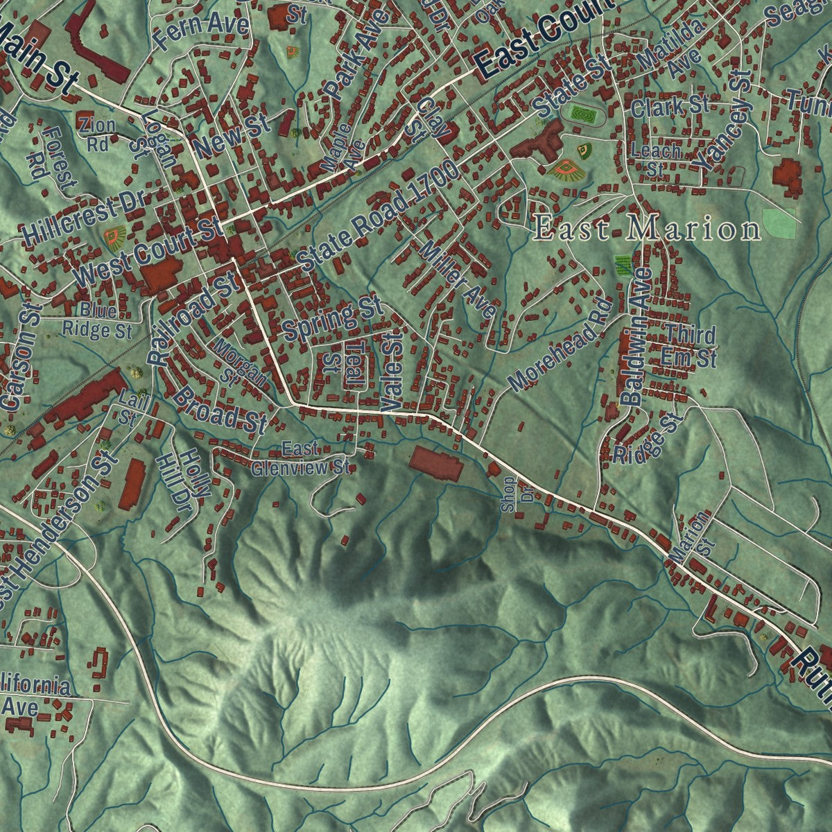 Close-up of the map of Marion, North Carolina print showing street and building detail