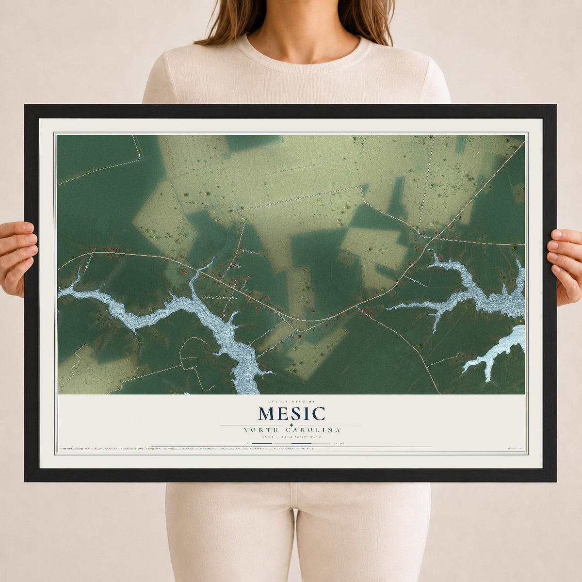Map of Mesic, North Carolina, 18 x 24 inch print in a black wood frame