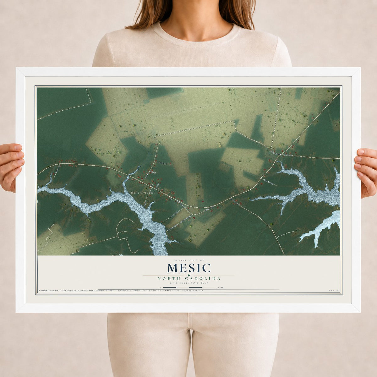 Map of Mesic, North Carolina, 18 x 24 inch print in a white wood frame