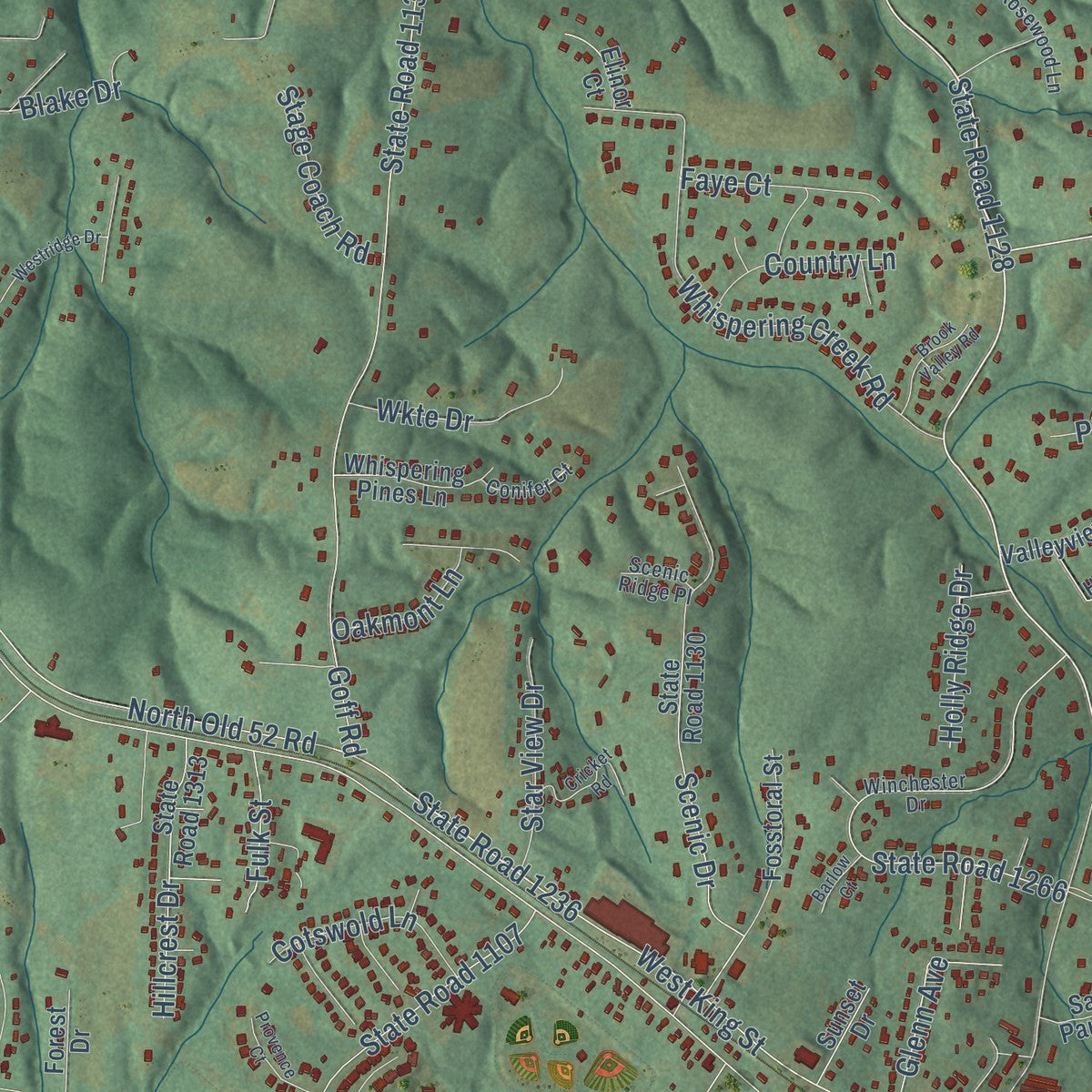 Close-up of the map of Mount Olive, Stokes County, North Carolina print showing street and building detail