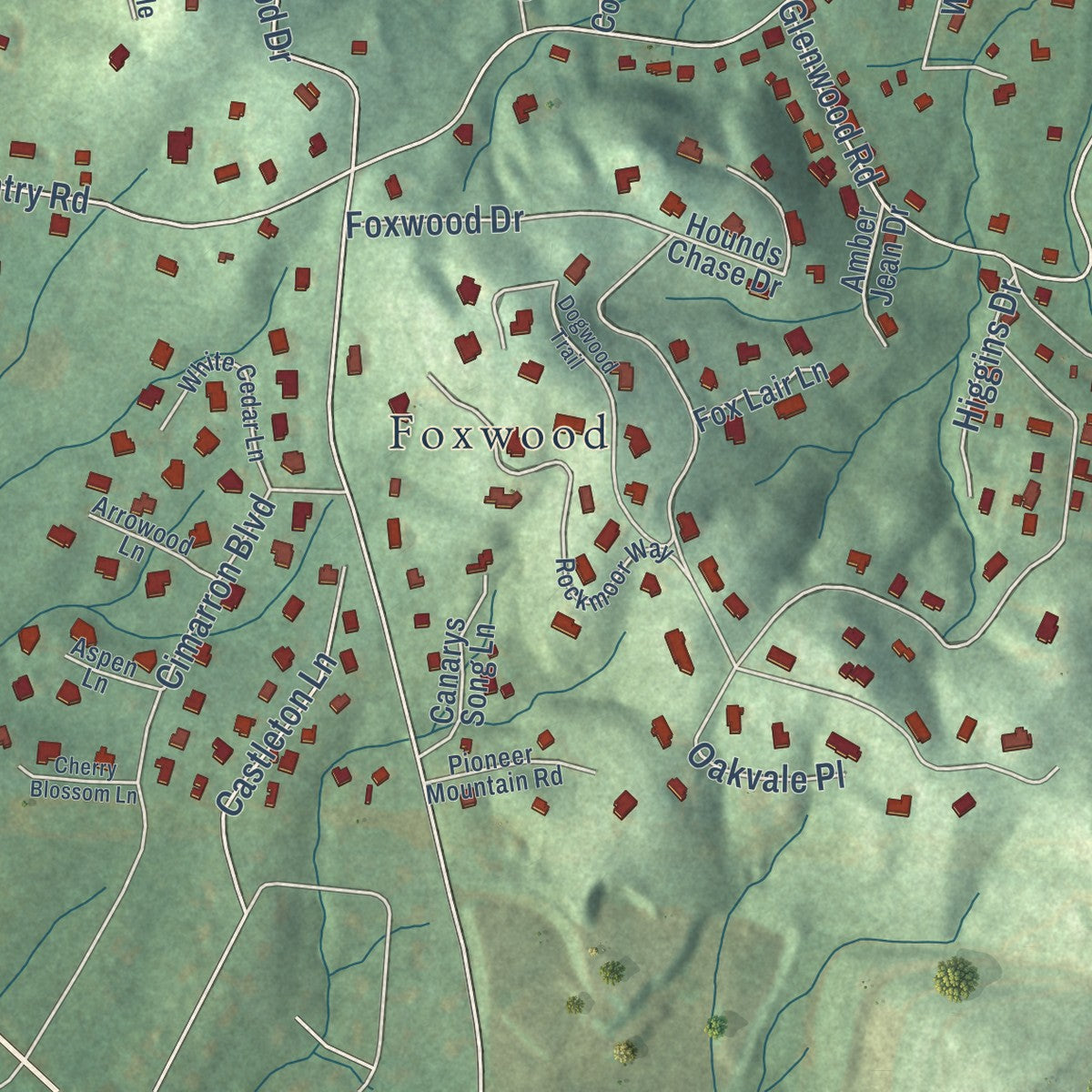 Close-up of the map of Mountain Home, North Carolina print showing street and building detail