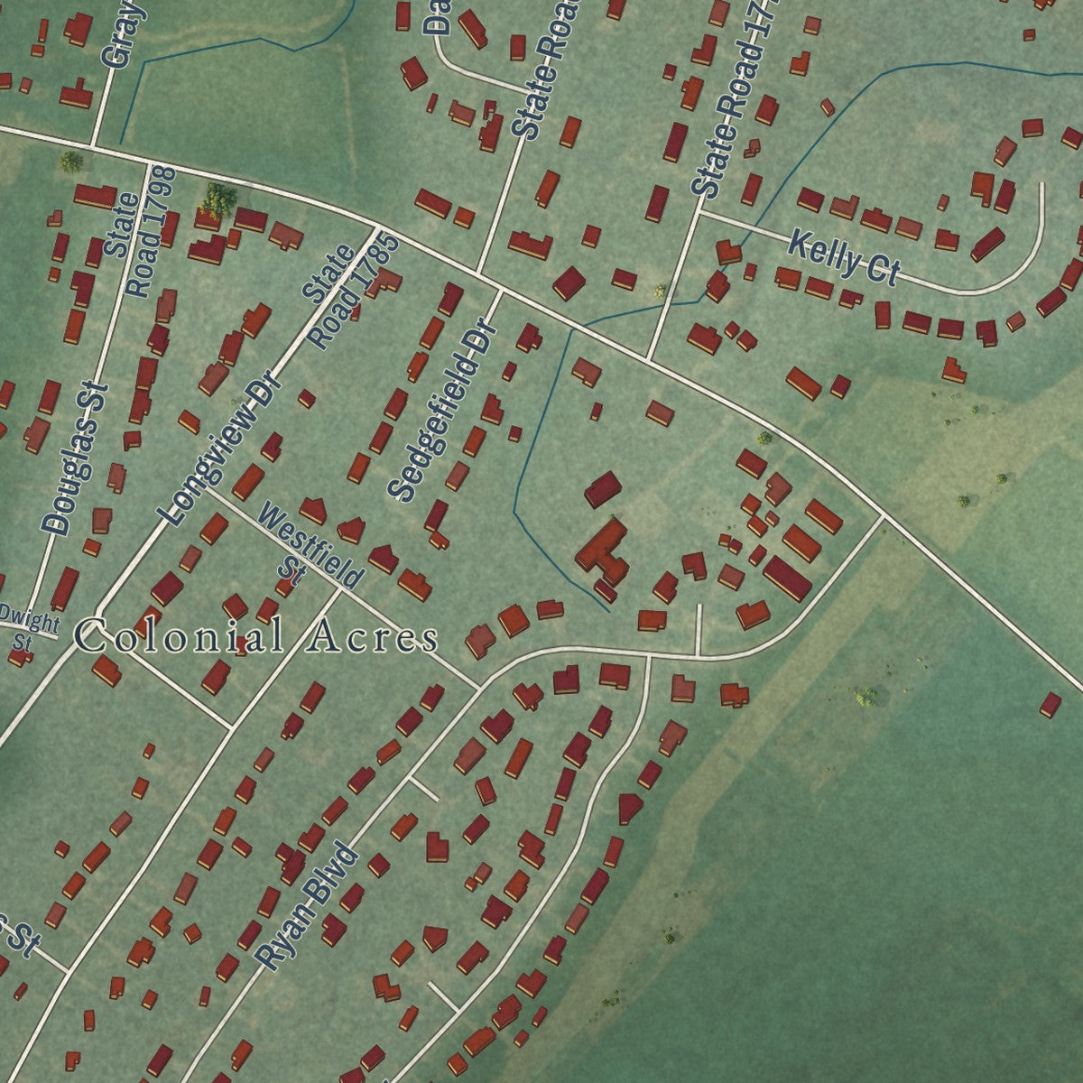 Close-up of the map of New Hope, North Carolina print showing street and building detail