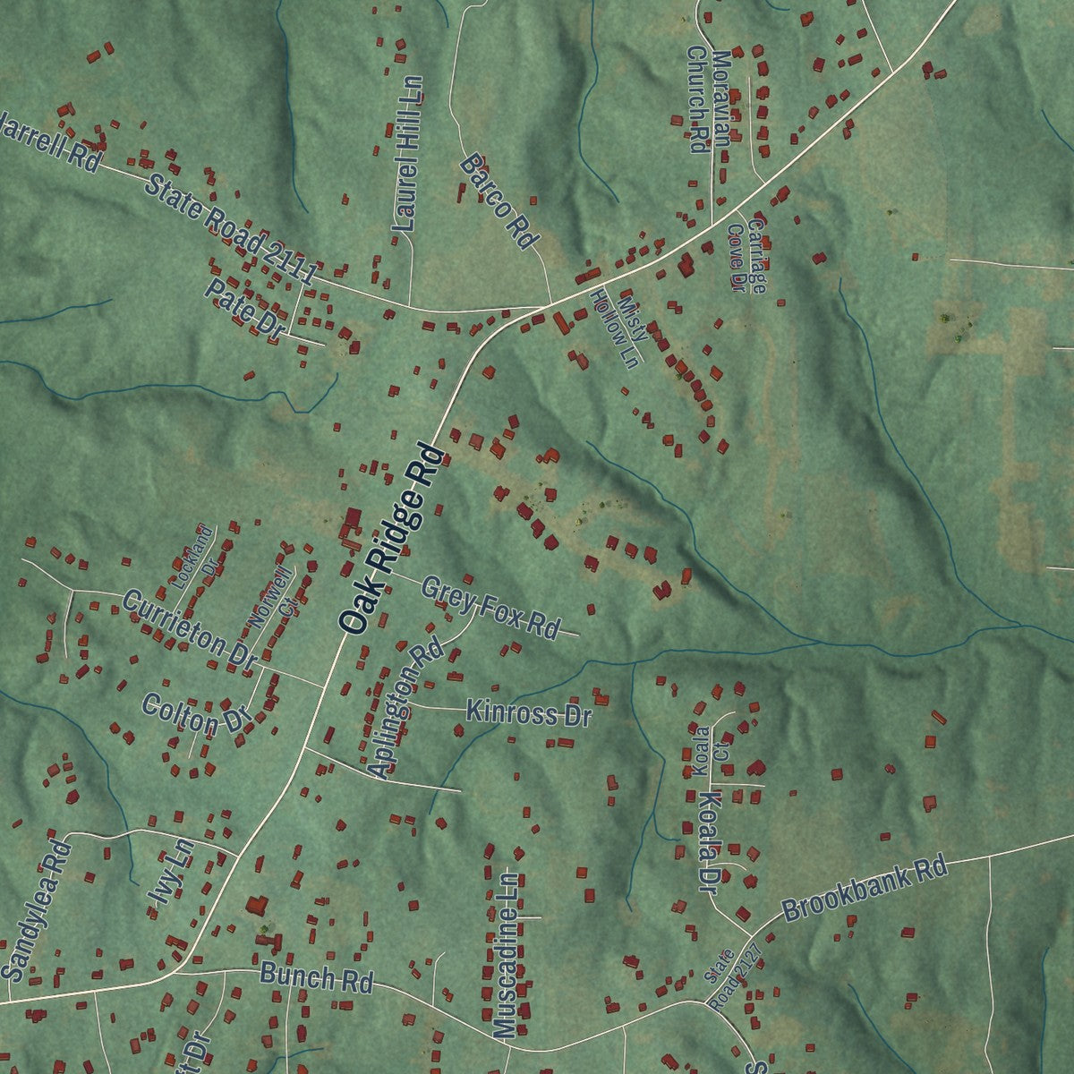 Second close-up of the map of Oak Ridge, North Carolina print showing more streets and buildings