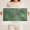 Map of Pine Level, North Carolina, 12 x 18 inch unframed archival matte print