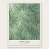 Pinnacle, North Carolina map print, the full design