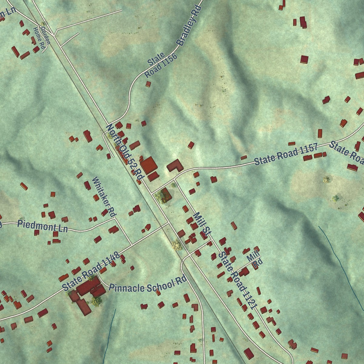 Close-up of the map of Pinnacle, North Carolina print showing street and building detail