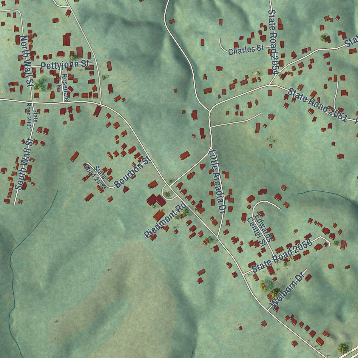 Close-up of the map of Pleasant Hill, North Carolina print showing street and building detail