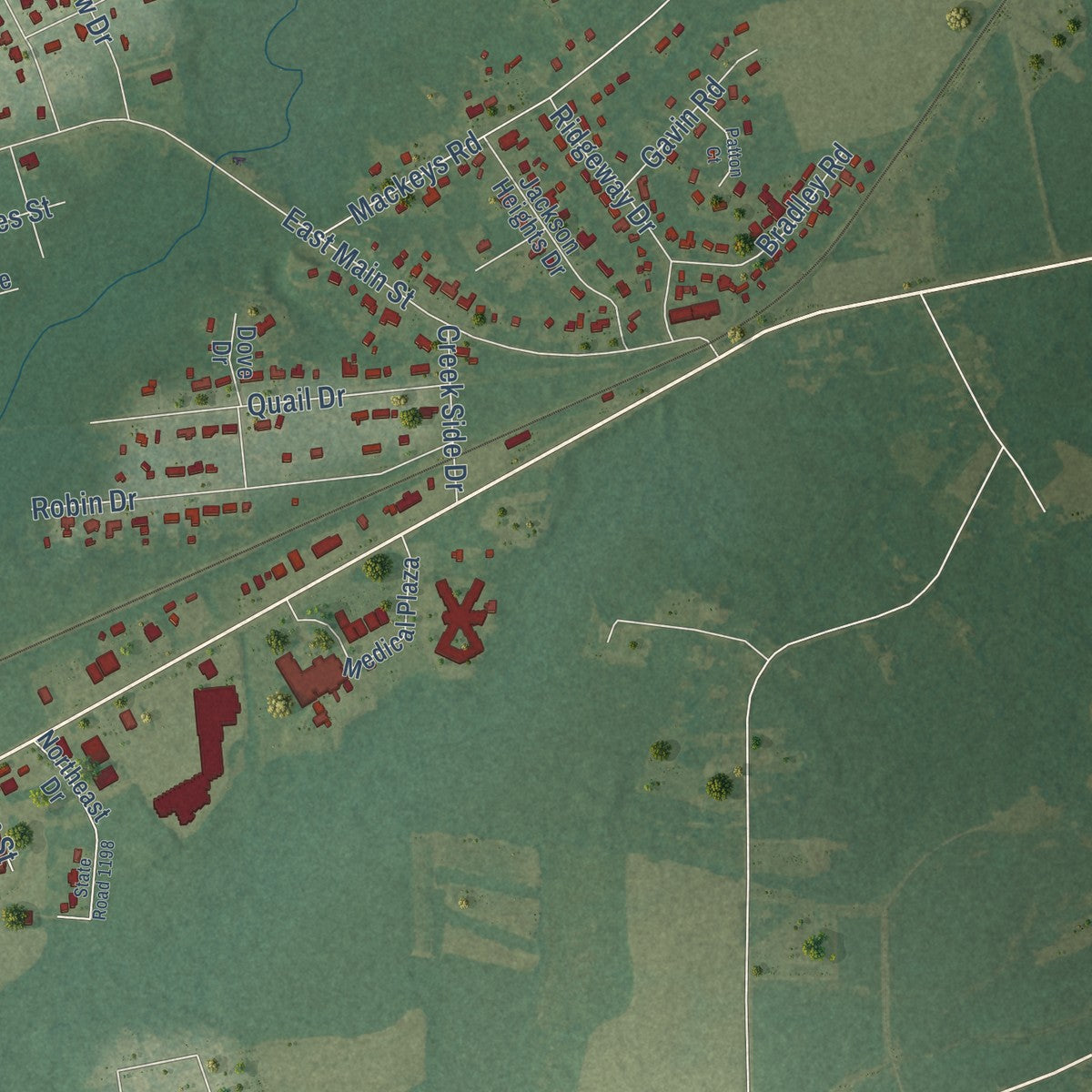 Second close-up of the map of Plymouth, North Carolina print showing more streets and buildings