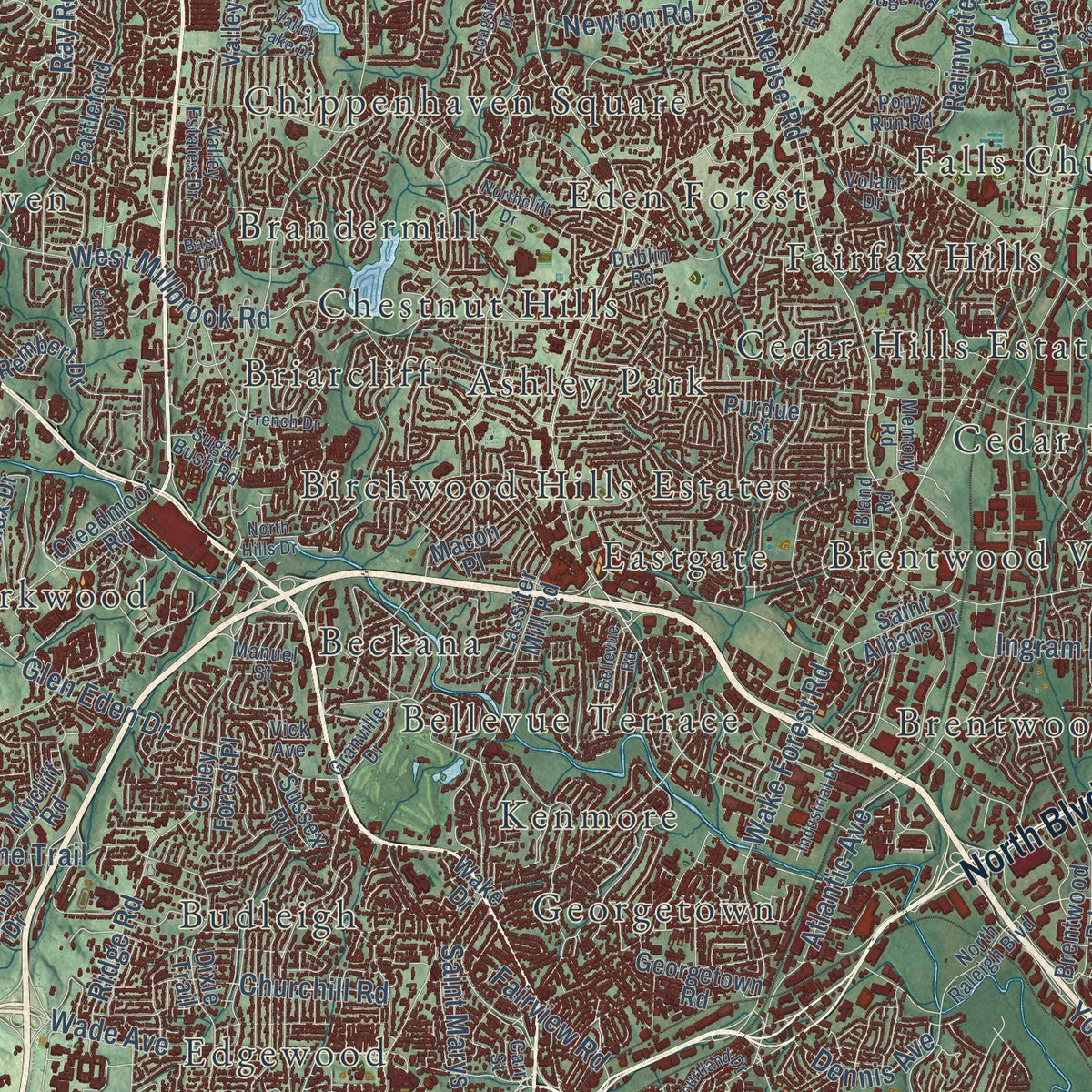 Close-up of the map of Raleigh, North Carolina print showing street and building detail