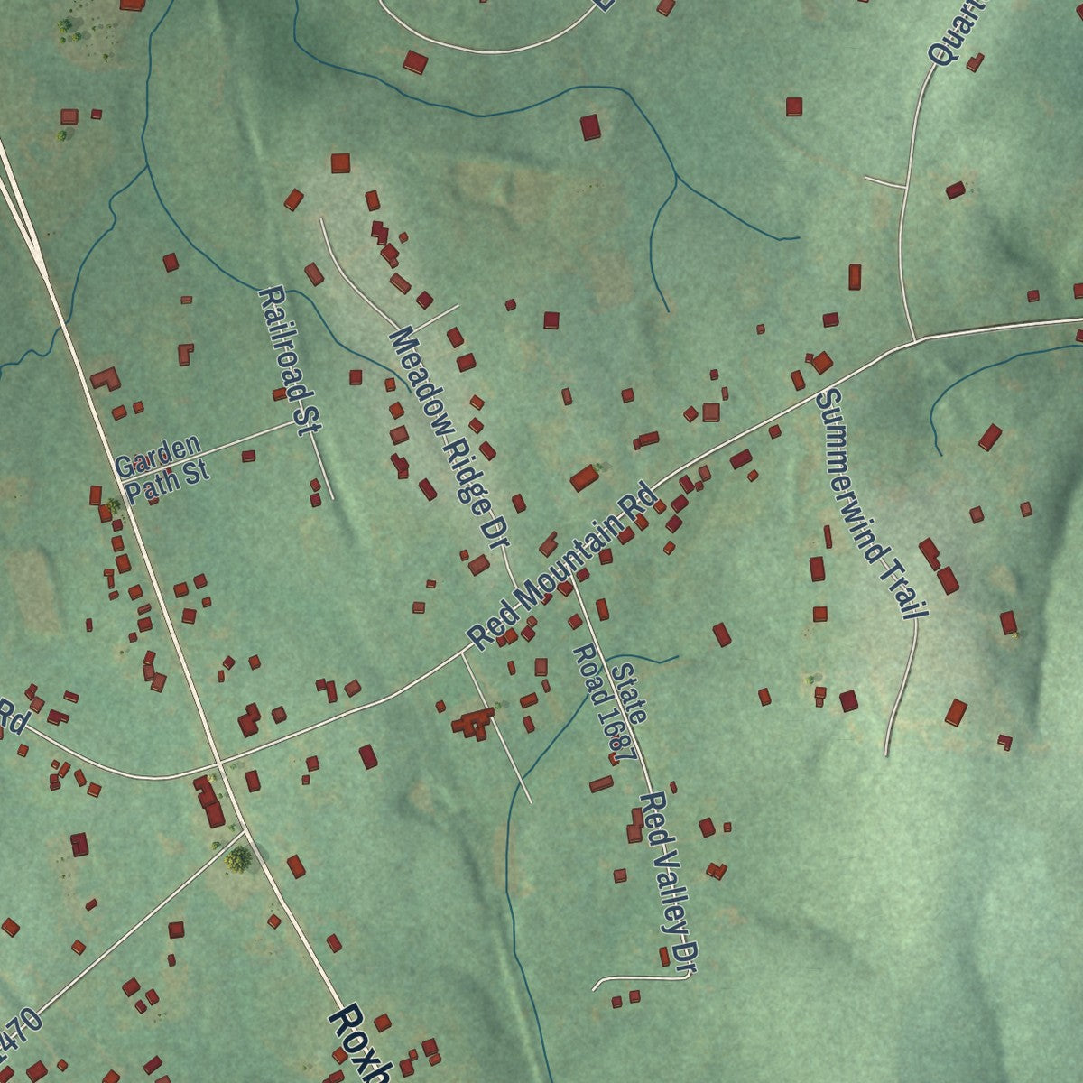 Close-up of the map of Rougemont, North Carolina print showing street and building detail