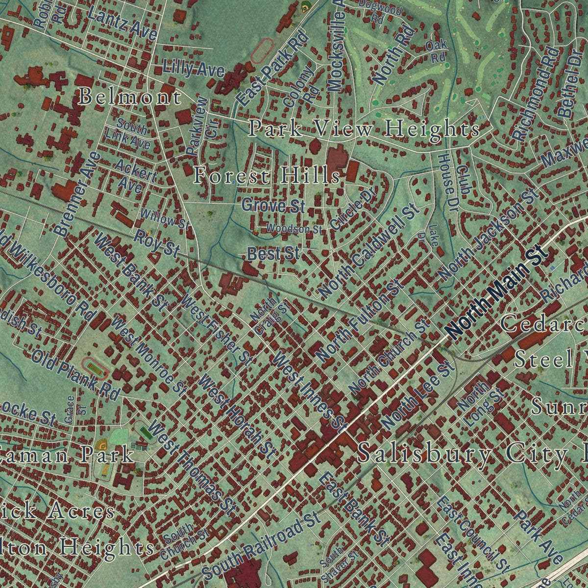 Close-up of the map of Salisbury, North Carolina print showing street and building detail