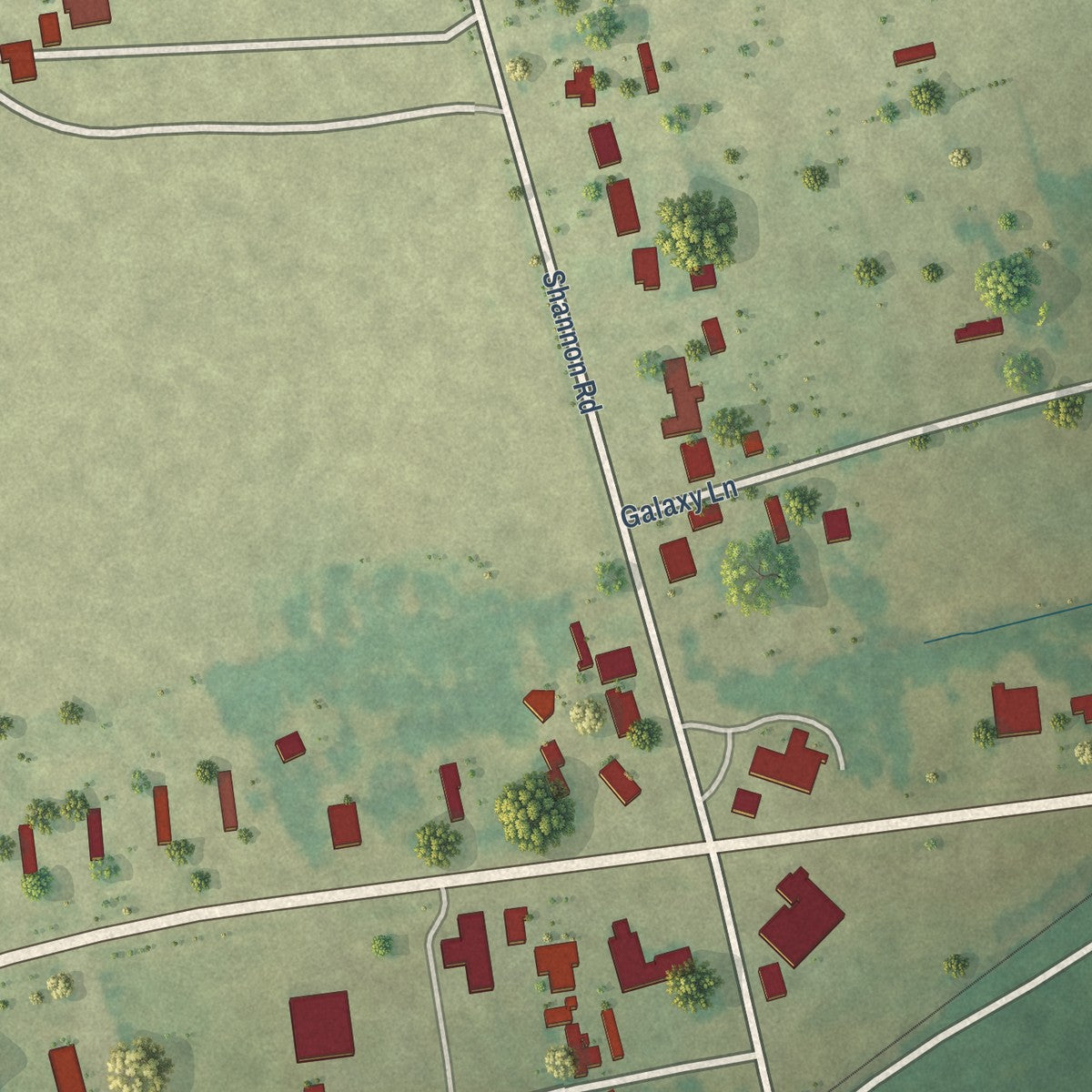 Close-up of the map of Shannon, North Carolina print showing street and building detail