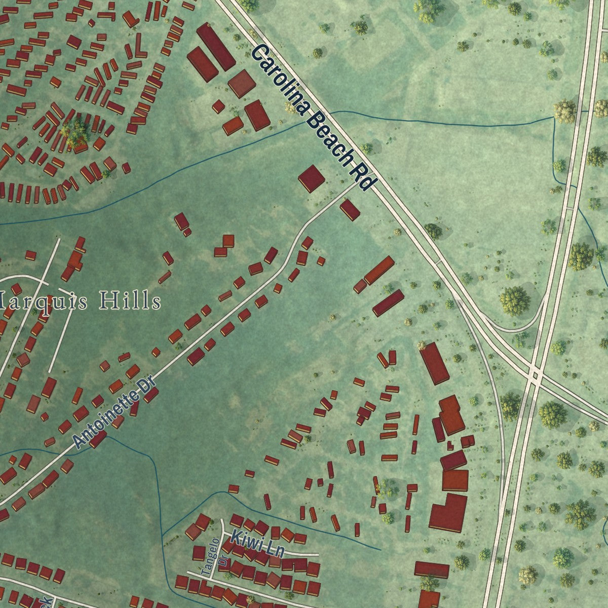 Second close-up of the map of Silver Lake, North Carolina print showing more streets and buildings