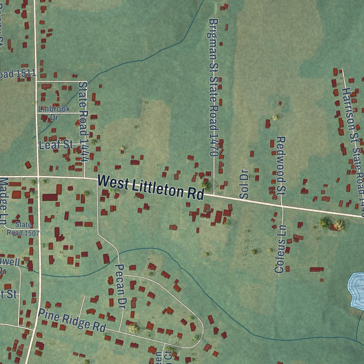 Close-up of the map of South Rosemary, North Carolina print showing street and building detail
