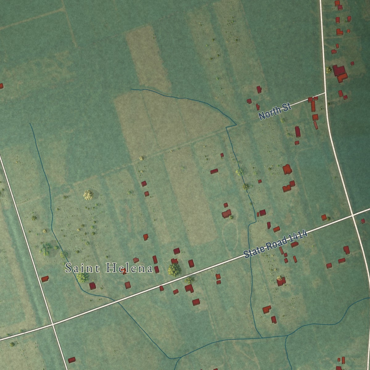 Close-up of the map of St. Helena, North Carolina print showing street and building detail