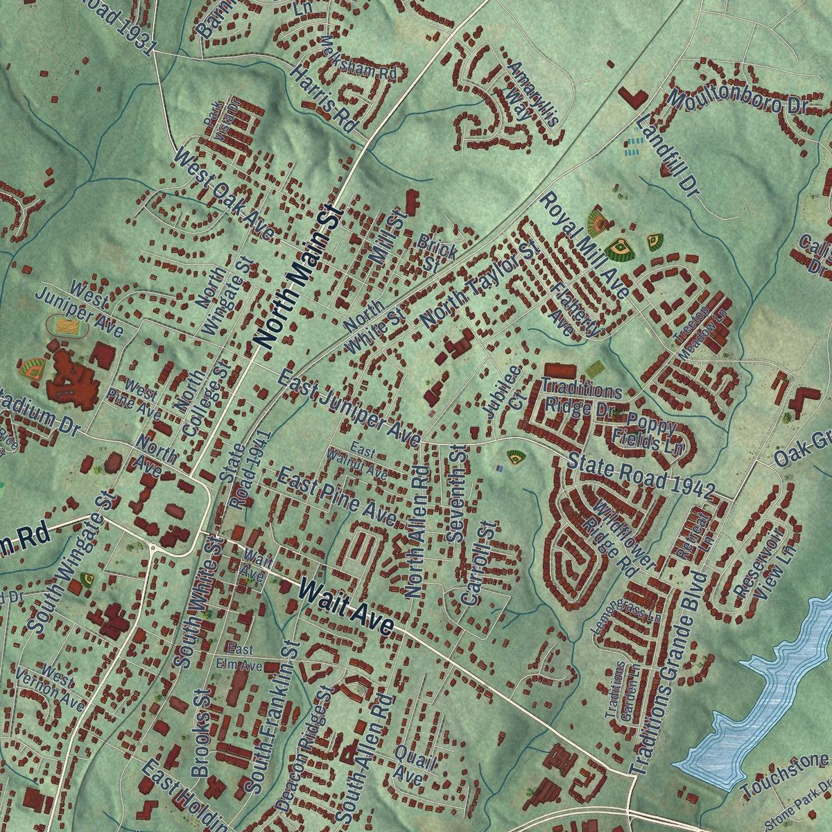 Close-up of the map of Wake Forest, North Carolina print showing street and building detail
