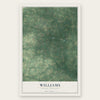 Williams, North Carolina map print, the full design