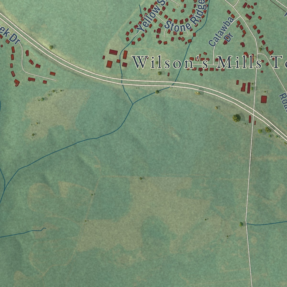 Second close-up of the map of Wilson's Mills, North Carolina print showing more streets and buildings