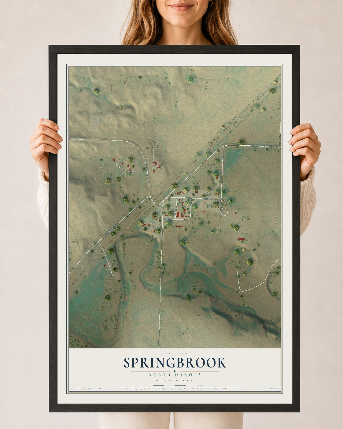 Map of Springbrook, North Dakota, 24 x 36 inch print in a black wood frame
