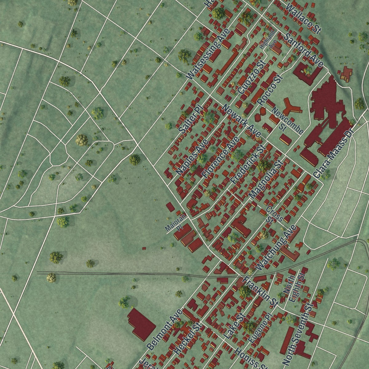 Close-up 2 of the Belleville, New Jersey map artwork